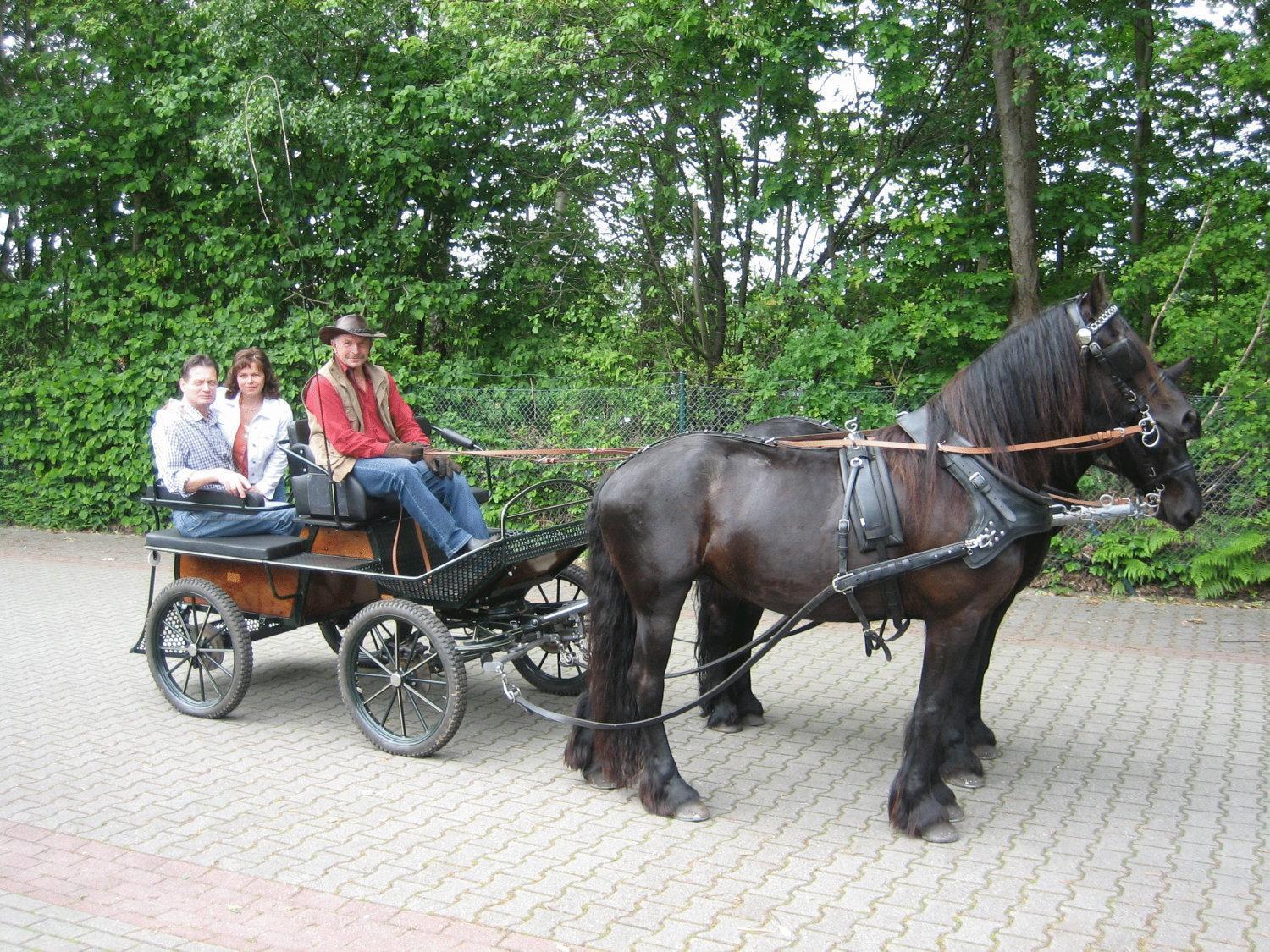 Hotel Graf Balduin Esterwegen Kültér fotó